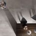 ABK Interno 9 превью №31