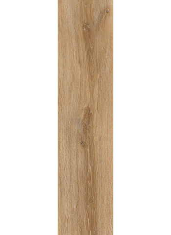 Oak Natural Ret. 30x121