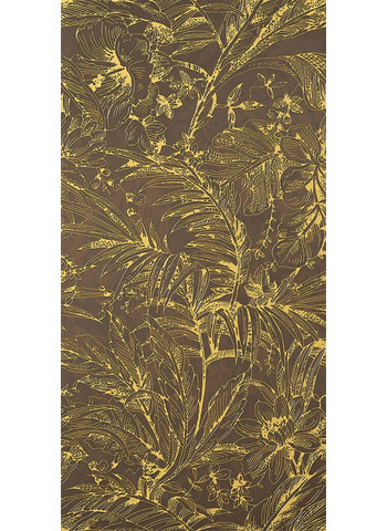 Herbarium Ocre 60-120