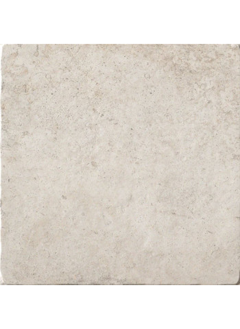 Cotto Bianco Naturale 20x20