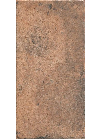 Cotto Naturale Naturale 20x40