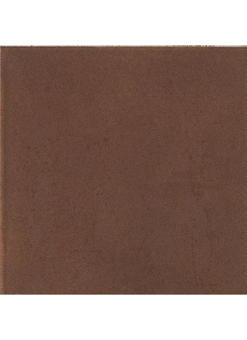 Camoscio 20-20