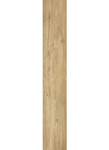 Miele 20-120