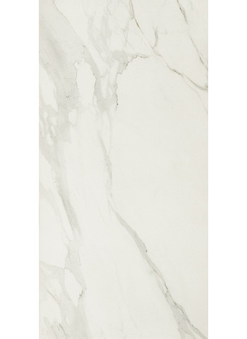 Calacatta Oro 60x120 R10B Nat. Ret.