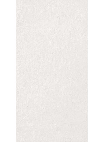 Tasty Oyster Naturale Ret. 60x120