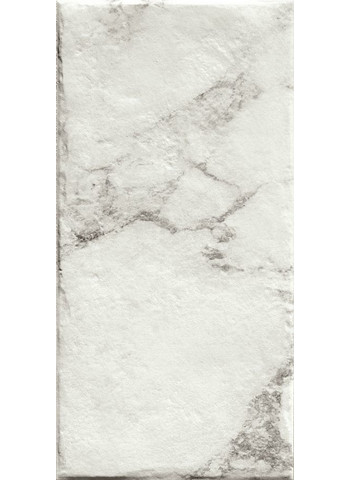 Paonazzetto Naturale 20x40
