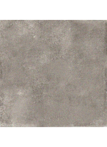 Tortora 60-60