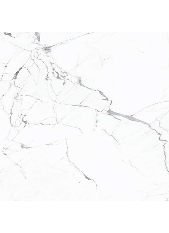 Statuario Venato 120-120
