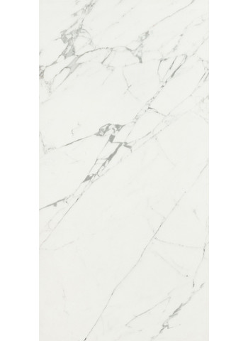 Statuario Venato 60-120