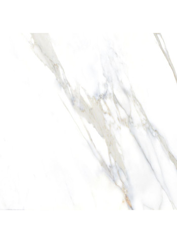 Calacatta 160-160