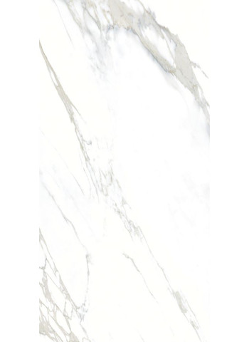 Calacatta 120-240