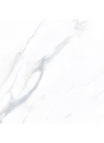 Calacatta 60-60