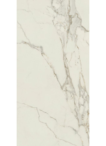 Calacatta Oro Slab B 163-324
