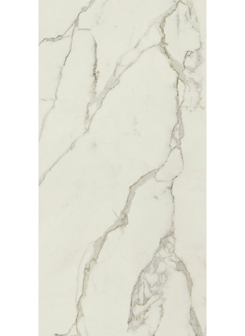 Calacatta Oro Naturale Ret. 160x320