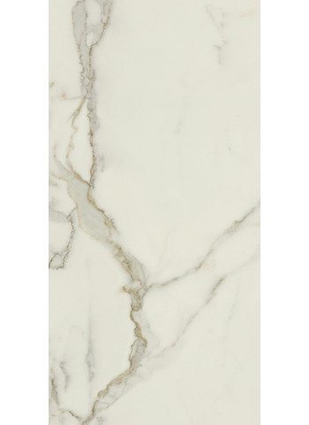 Calacatta Oro 60-120