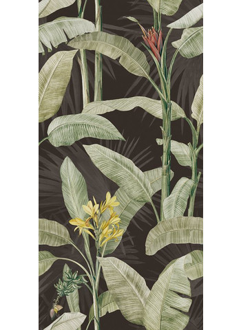 Botanical 60-120
