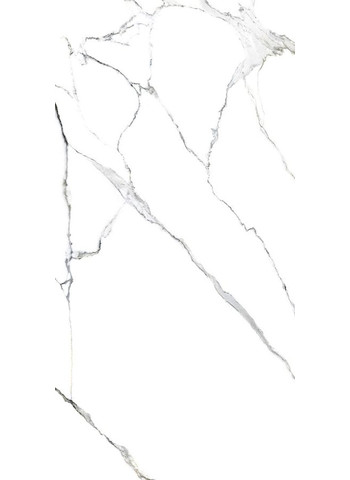 Statuario Splendente Lappato Lap. Ret. 80x160