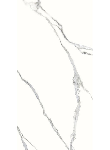 Statuario Splendente 60-120