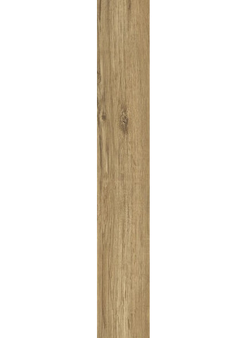 Rovere 20-121