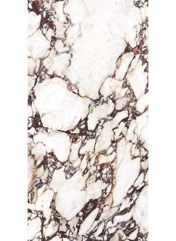 CALACATTA VIOLA 60X120 0002 Livello 2