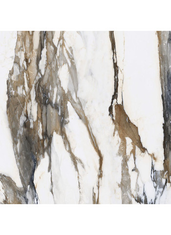 Calacatta Gold Lappato Lap. 120x120