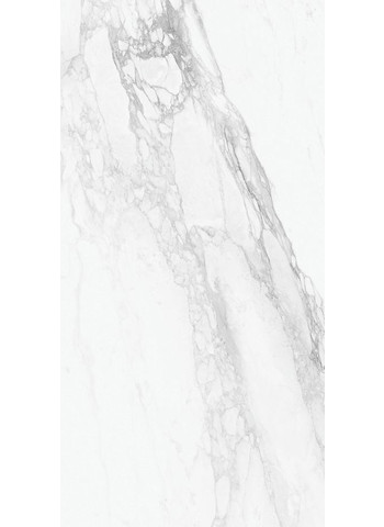 Bernini LCP Lap. 160x320