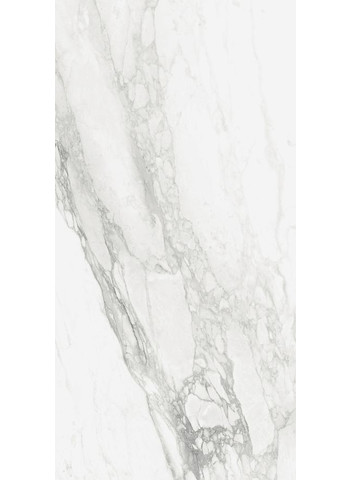 Bernini LCP Lap. 60x120