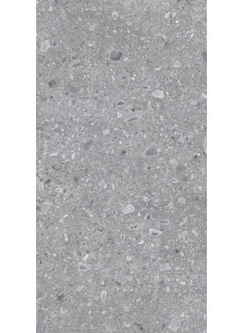 Grey 60x120 R11 Mat. Ret.