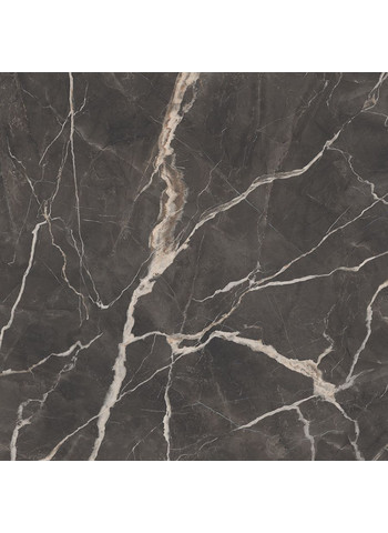 Calacatta Cenerino Naturale Ret. 120x120