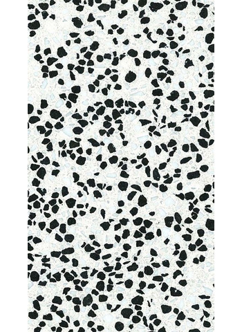 1656 Campo Scuro 29.85-60