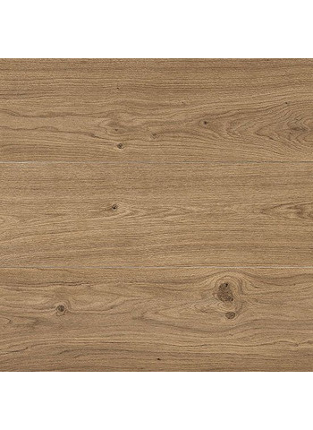 Castagno 15.1-75