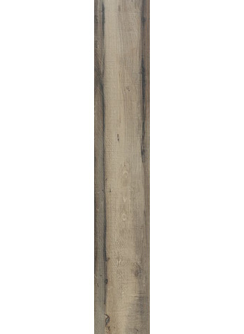Ulivo 20-80
