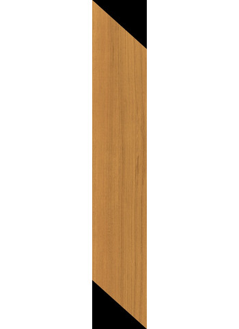 Theca 20-100