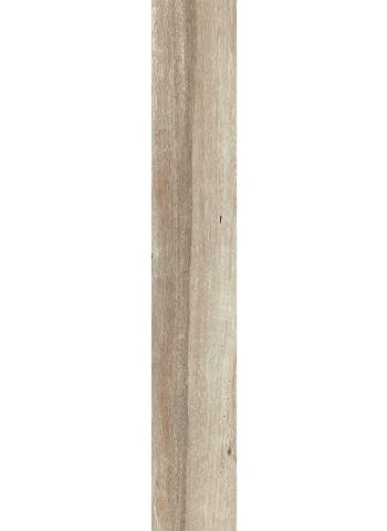 Beige 20-120