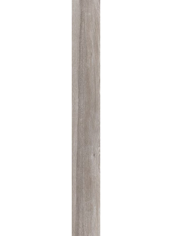 Taupe Naturale Ret. 15x120