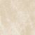 Elemental Stone Cream dolomia Lucido Ret. 120x120