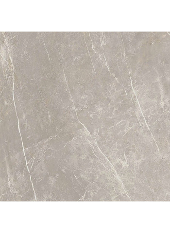 Grey dolomia Naturale Ret. 120x120
