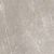 Elemental Stone Grey dolomia Lucido Ret. 120x120