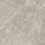 Elemental Stone Grey dolomia Lucido Ret. 60x60