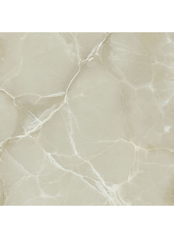 Oyster shade 80-80