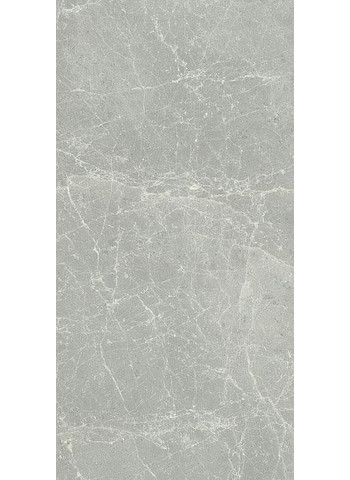 Silver light 60-120