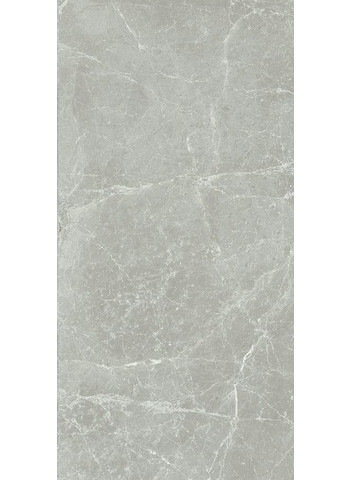Silver light 40-80