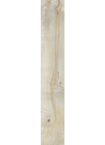 Almond 20-120