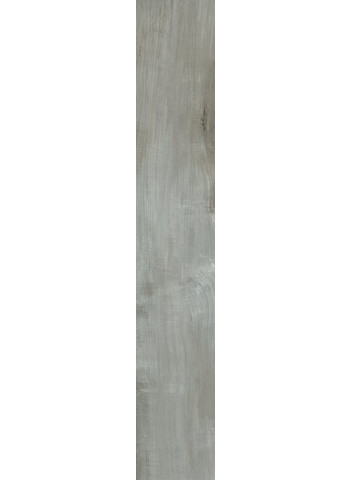 Smoke grey Lucido Ret. 20x120