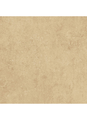 Cinnamon 60-60