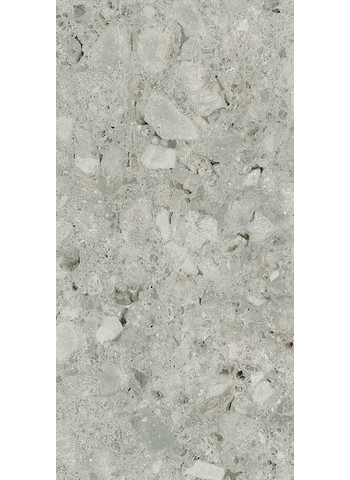 Ceppo di gre 30-60 g