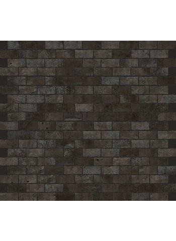 Burnished 30-30 2