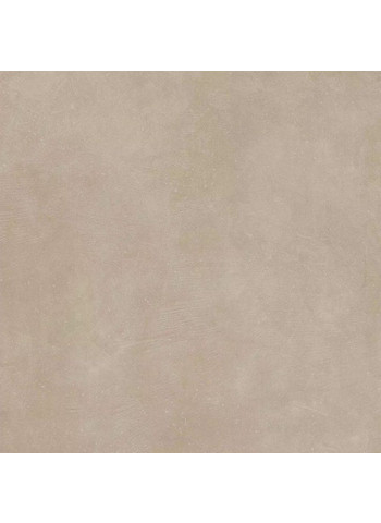 Taupe 80-80