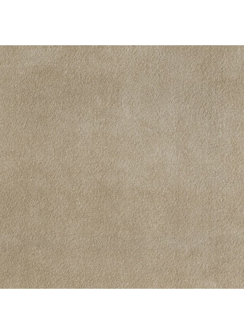 Sage 60-60 1