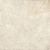 Stontech 4.0 Stone_02 Naturale Ret. 80x80